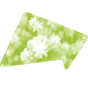 Logo van Visser Tuinen