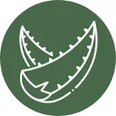 Logo van Curaçao Ecocity Projects NV Home of CurAloe