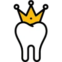 Logo van Croonen Dental Service