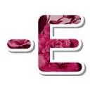 Logo van SUZANN-E