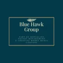 Logo Blue Hawk Management
