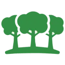 Logo New Forest Sessions