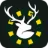 Logo Weldraad