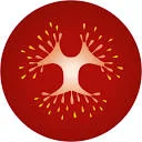 Logo Totam Seeds