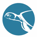 Logo van Sea Turtle Conservation Curaçao STCC
