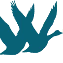 Logo van Drowgoo