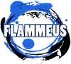 Logo Verkeersschool Flammeus