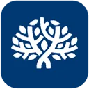 Logo Native Consulting