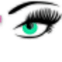 Logo Taylashes