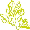 Logo van Trompert Tuinen