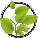 Logo van Greengo Products