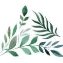 Logo van MDFcoaching