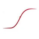 Logo van TransFortis