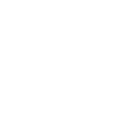 Logo van Stichting Raqs