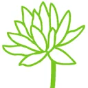 Logo Dit Lieve Lijf