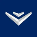 Logo Vereniging Nederlandse Verkeersvliegers VNV - Dutch ALPA