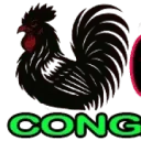 Logo van SuriVision
