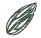 Logo van Maejor Nuts