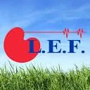 Logo van L.E.F. Lips Educatie Friesland
