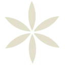 Logo van Zielskracht Begeleiding