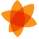 Logo van VDS Arbeidsdeskundigen
