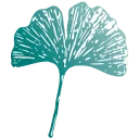 Logo van De Hortus Stichting voor natuur- en duurzaamheidseducatie