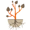 Logo van Roots Financieel Advies