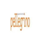 Logo Acupunctuurstudio Pellegrino
