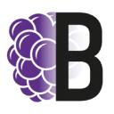 Logo Braam Psychologie
