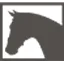 Logo van Drunens Ruiterhuis