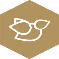 Logo Tripweb