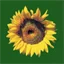 Logo van IJzerlo's Landschap