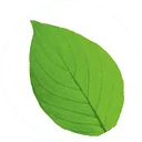 Logo van Leaf Bloemen
