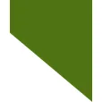 Logo van Woonstichting 'thuis