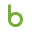 Logo Briddle Rich Internet Applications