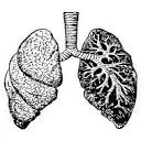 Logo van Mr Breath Ademcoaching