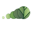 Logo van Ruyteninstituut