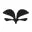 Logo van CAES