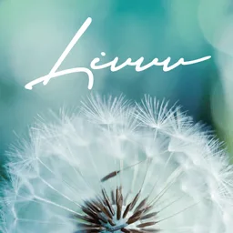 Logo van Livvv