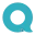 Logo QM intelligence