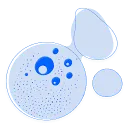 Logo AI4Cosmetics