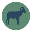 Logo van Schaapfulness