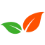 Logo Fatrans
