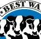 Logo van Best Way Ingredients BV