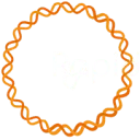 Logo van Rapidemic