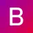 Logo Brightlands AI Academy