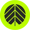 Logo Behind The Pines