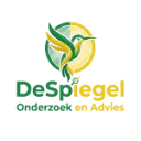Logo De SpiegelOnderzoek en Advies