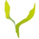 Logo van De Nieuwe Lente