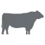 Logo van Nice to Meat
